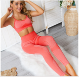 New Yoga Pants Matching Sports Bra Top Sets in 6 Colors