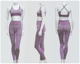 New Yoga Pants Matching Sports Bra Top Sets in 6 Colors