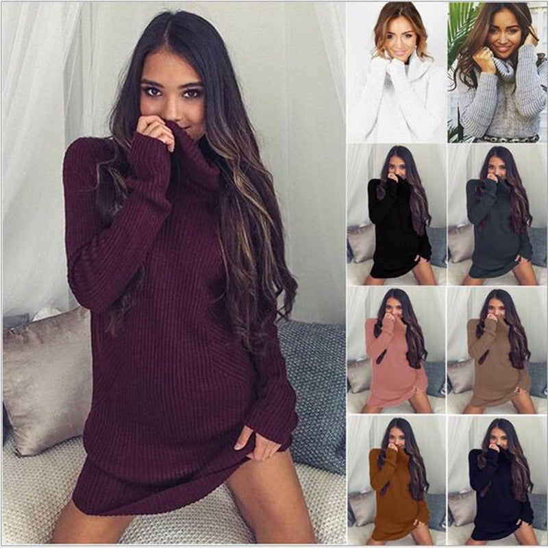 Women Knitted Turtleneck Long Sleeve Dress Sweaters Pullovers Plus Size